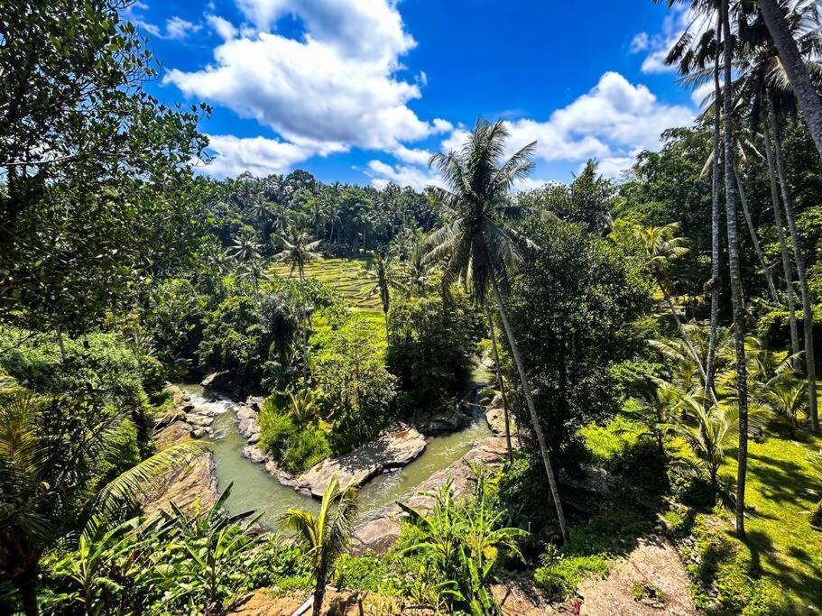 Ubud Riverside Villa المظهر الخارجي الصورة