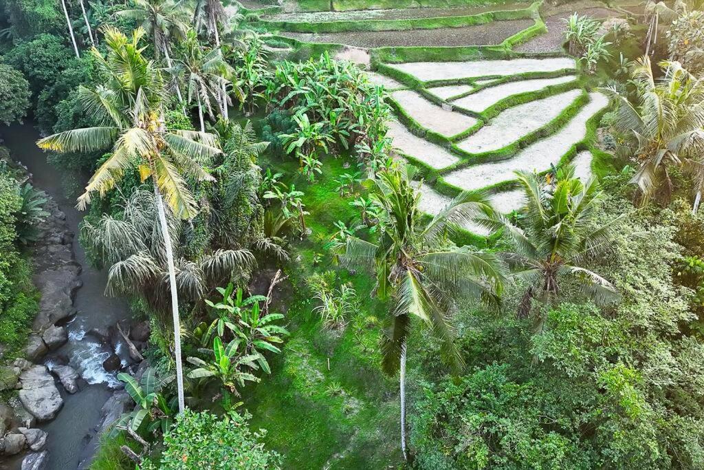 Ubud Riverside Villa المظهر الخارجي الصورة
