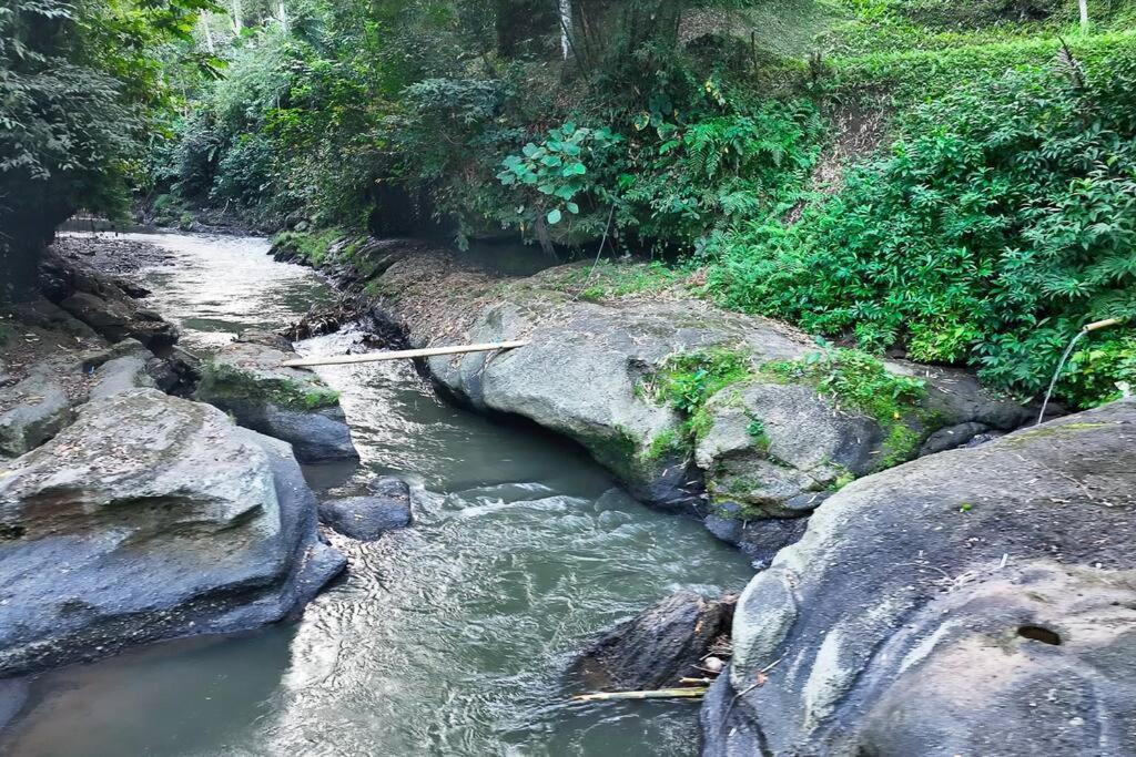Ubud Riverside Villa المظهر الخارجي الصورة
